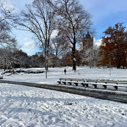 manhattan-snow-removal
